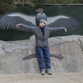 402-4706 Safari Park - Kate vs California Condor Wingspan